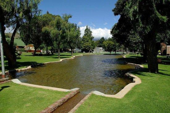 To Let 3 Bedroom Property for Rent in Wemmershoek Western Cape